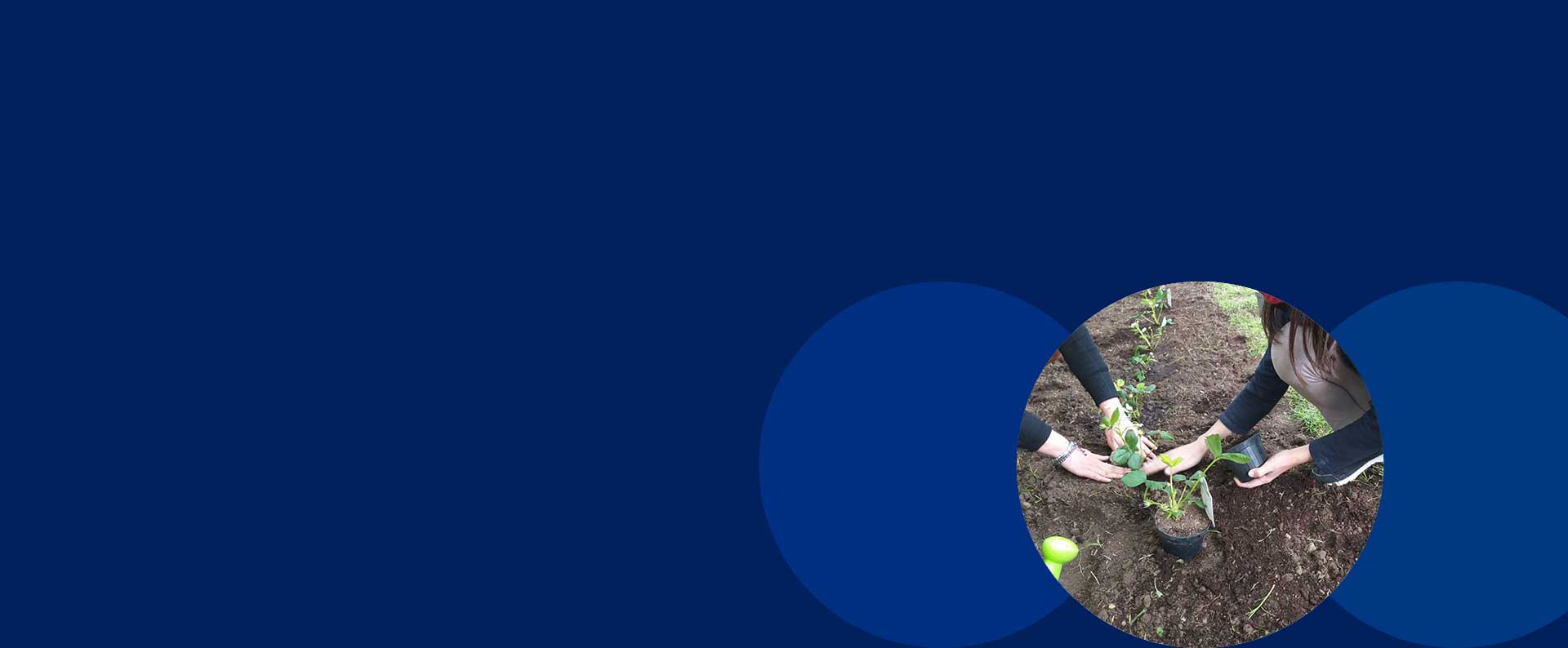 SK Foundation Projects