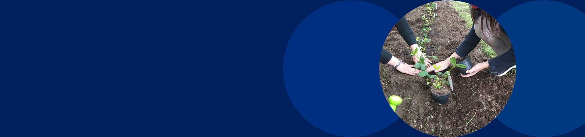 SK Foundation Projects