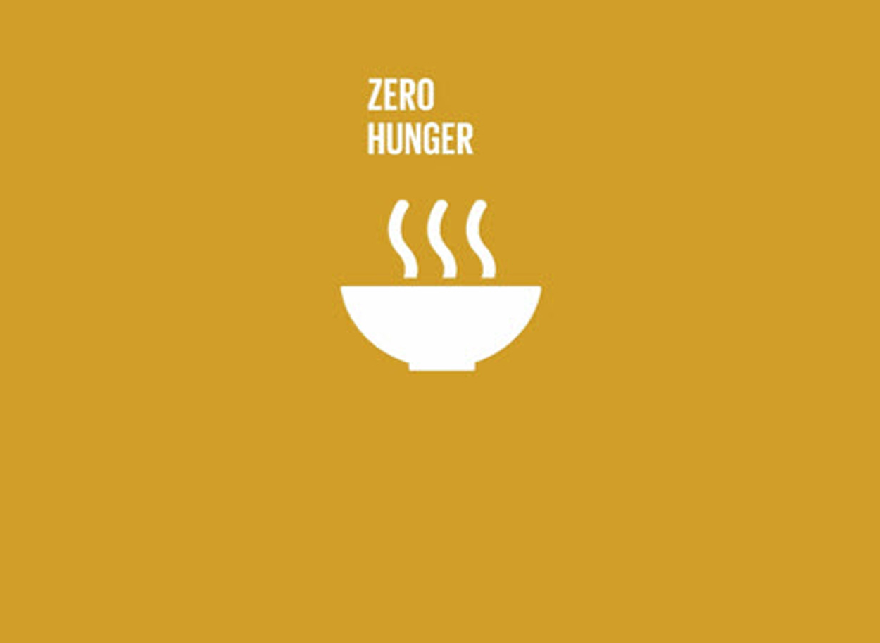 Zero Hunger