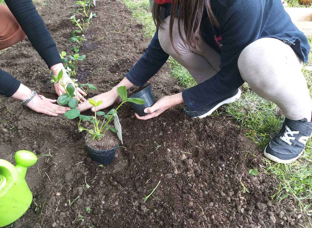 Sk Foundation Volunteers Spotlight